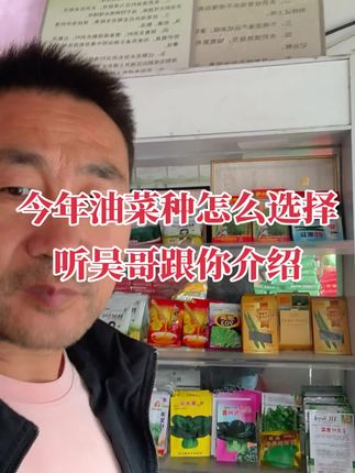 今年种什么油菜品种,听吴哥给你介绍#油菜#高产油菜#华油567