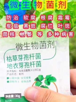 爱丰收白菜专用微生物菌剂白菜微生物肥料保花保果复绿微生物肥料#白菜病菌清 #白菜 #白菜种植 #农业种植 #抖音助农