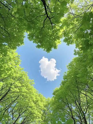 【抢一斤装】正宗新疆西梅干夹番茄酸甜解馋零食专用上班充饥食品zb#西梅干