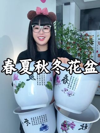 春夏秋冬到手四个仿陶瓷花盆#好物推荐🔥 #透气花盆 #强烈推荐 #花盆 #家庭必备