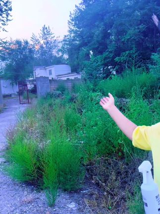 厂家来大活动啦!鸡奶奶杀虫剂25.8到手4大瓶还送2个瓶喷头超划算!