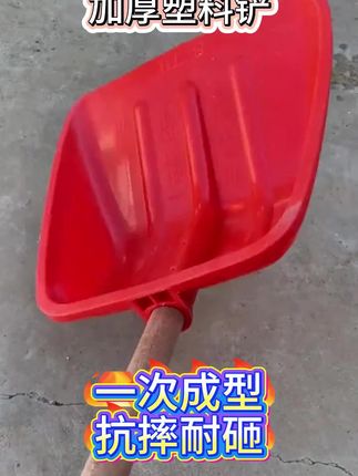 加厚钢化塑料锹,铲玉米小麦都能用到,冬天也能用来铲雪,方便又实用#农用工具 #铲子 #塑料铲子 #加厚塑料铲子 #钢化塑料铲