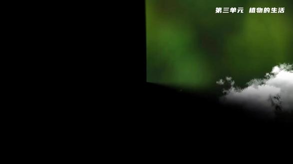 3.1.1 种子的萌发七年级生物下册第三单元PPT课件含教案 下载地址:WWW.LFPPT.COM
#PPT课件含教案 #七年级生物下册第三单元PPT #种子的萌发七年级生物下册 #七年级生物下册ppt
这是一套人教版七年级下册生物《种子的萌发》的 PPT,整体风格清新,用了大量实验示意图和实物图,方便学生理解。它先从被子植物一生的话题导入,引出种子萌发的重要性。接着通过对照实验探究种子萌发的环境条件,得出需要适宜的温度、一定的水分和充足的空气,同时说明土壤和光照不是必需条件。然后讲解种子萌发的自身条件,强调胚必须是活的、完整的,且度过休眠期、种子饱满,还分析了干瘪种子、大米、煮熟种子不萌发的原因。之后介绍种子萌发的过程:先吸收水分,子叶或胚乳转运营养,胚根发育成根,胚轴伸长,胚芽发育成茎和叶。最后讲解测定种子发芽率的抽样检测方法和计算公式,并用思维导图和随堂检测帮助学生巩固知识点,整体逻辑清晰,很适合课堂教学。