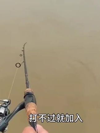 再也不用偷摸拿泥鳅钓鱼了,1:1模拟的泥鳅外观,水里就跟真的泥鳅一样#路亚 #路亚翘嘴 #路亚饵 #路亚鳜鱼 #路亚钓鱼