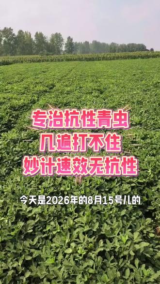 抗性青虫特效#三农#农民#花生#抗性青虫#特效药