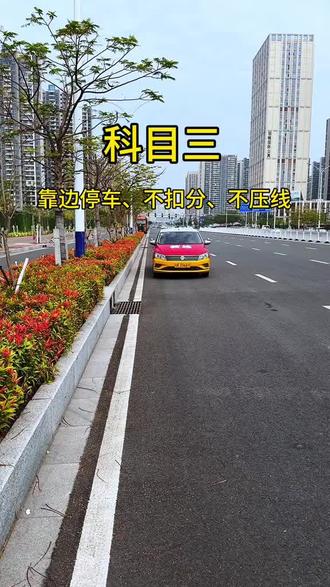 科目三 靠边停车#考驾照 #驾考一把过 #逢考必过 #驾校学车