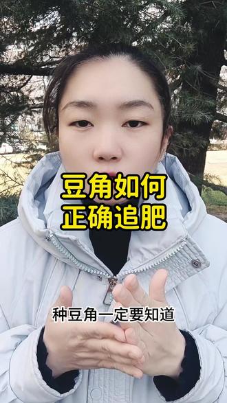豆角如何正确追肥 豆角如何正确追肥#豆角追肥 #豆角高产技术 #豆角种植