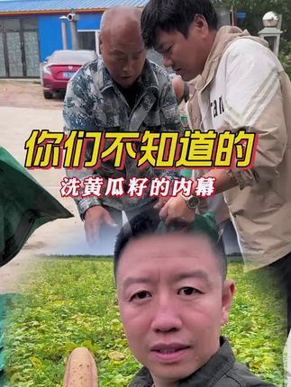 黄瓜籽怎么洗#黄瓜籽#黄瓜籽粉补钙 #助力三农