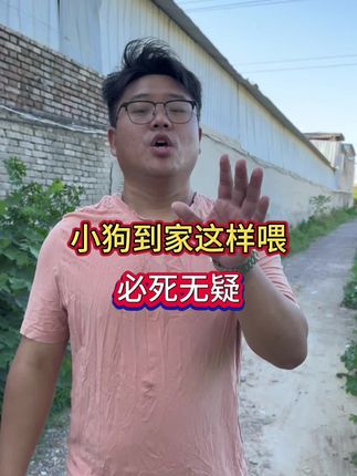 小狗到家这样喂,必死无疑#养狗人 #养狗#土狗#肉狗苗 #肉狗养殖基地