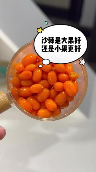 买沙棘原浆一定要认准小果沙棘,小果是野外自然生长没有人工干预的,来我直播间,教你如何正确的喝小果沙棘原浆.#沙棘原浆 #营养滋补