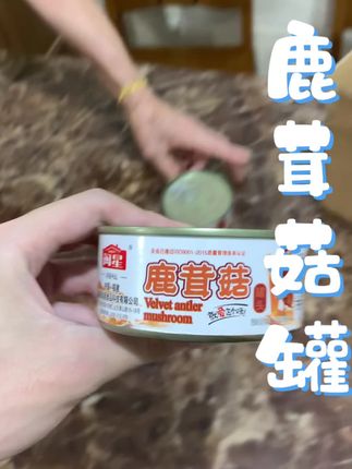 鹿茸菇罐 #闽南阿谅#泉州#鹿茸菇罐头