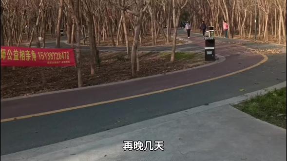 再过几天,就做不了征婚信息卡了 #偃师相亲 #偃师相亲角 #洛阳相亲 #偃师在家工作 #拉新工作室