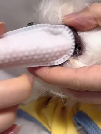 去除牙垢每宠宠物清洁牙齿指套狗狗猫咪刷牙洗牙漱口腔除异臭牙黄#好物推荐🔥 #宠物 #宠物清洁指套