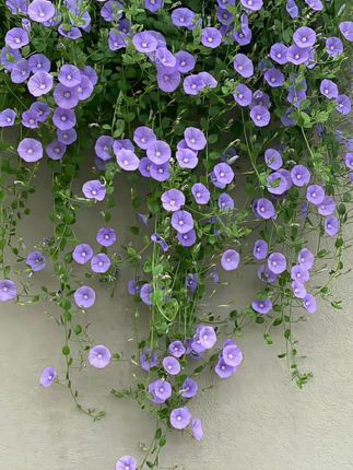 大容量休闲男女旅行健身包训练背包束口袋抽绳包篮球包潮日常2207#背包速口袋#旅行健身包