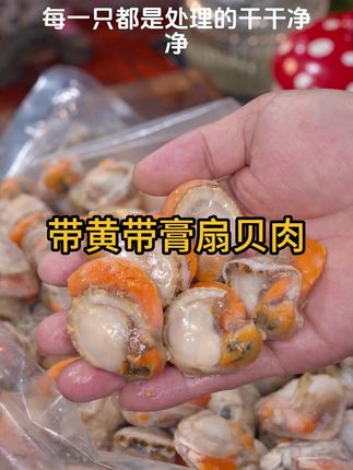 海鲜扇贝肉 #扇贝肉 #海鲜原产地 #好吃不贵经济实惠 #只做高品质 ,高品质扇贝肉,源头直发,公带膏母带黄,好吃不贵