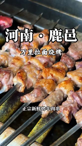 吃一口满嘴流油的羊肉串,真的太满足了#羊肉串烧烤 #本地小山羊肉烧烤 #新鲜现烤羊肉串 #夜宵吃什么 #鹿邑美食