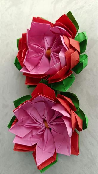 #折纸#莲花
㊗️大家在新的一年 好运莲莲!