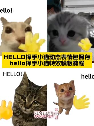 HELLO挥手小猫动态表情 hello小猫特效教程来了 hello小猫一键剪同款#hello小猫教程 #hello小猫 #Hello挥手小猫 #动态表情包 #剪映 hello小猫配音怎么剪 hello小猫微信表情包 hello小猫高清无水印素材 hello小猫教程hello小猫剪映 hello小猫动态表小猫AI提示词 hello小猫怎么制作 hello小12情包 hello小猫出处 hello小猫音频 hello小猫原视频素材 hello小猫动态图怎么导出 hello小猫微信怎用 hetto哈基米挥手 哈基米表情包 hello猫动态壁纸 hello猫手草稿机壁纸 hello猫背景图