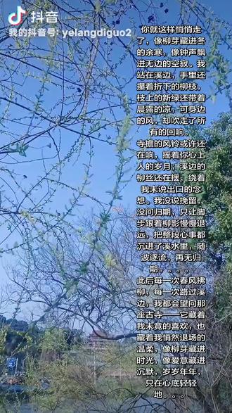 柳影辞
溪边柳芽偷抽绿,风揉碎影入溪流。
隔岸古寺藏青瓦,檐角风铃未诉愁。
我立滩头望朱户,念你曾驻此中楼。
你随春风入禅境,我逐柳色逐空游。
未言别,未问留,唯剩一溪柳丝柔。
系住流年系不住,转身空留月一钩。#春暖花开奔你而来 #杨柳