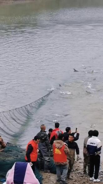 都来看今天江西网红大表哥来,河南罗山周党朱楼村高洼包鱼塘抓鱼,人山人海太热闹了