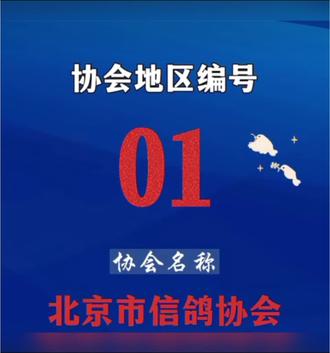 中国信鸽各地协会数字代码。
#信鸽 #赛鸽信鸽爱好者 #信鸽比赛成绩