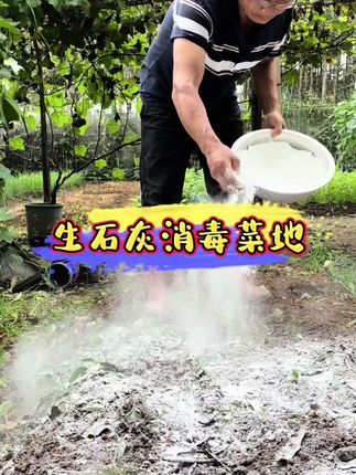 收完菜的空地别浪费!简单撒点#生石灰,就能给土壤来次彻底消毒,清除隐藏的病菌虫卵。秋播蔬菜时,不仅管理轻松,菜株还能长得健壮旺盛,性价比绝了!#种植小技巧#土壤消毒#蔬菜种植