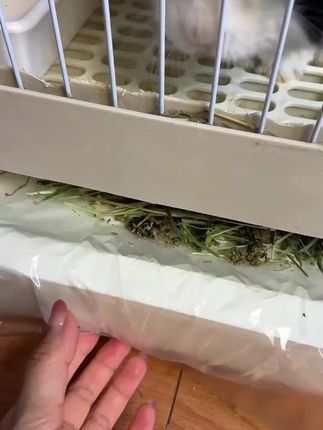 想要兔子粑粑又大又蓬松, 牧草少不了。