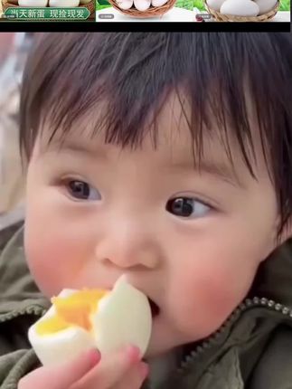 【农场直发】农家土鹅蛋12枚现捡现发新鲜农家整箱#鹅蛋