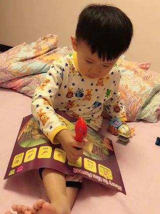 洪恩点读笔幼儿早教英语拼音识字神器绘本阅读学习机幼小衔接