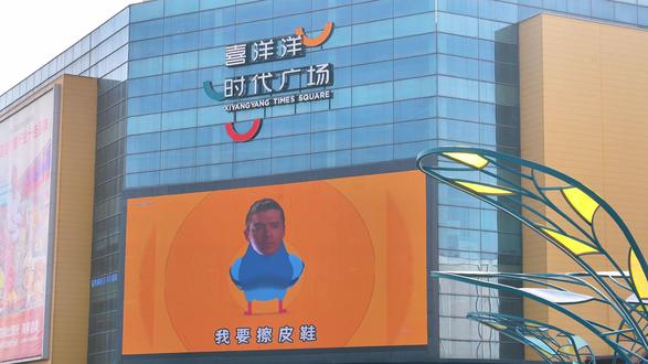 不知道,我的鸽子很曼妙~雷霆拼好歌!#疯狂的鸽子#pigeonpop #抽象 #鬼畜#给我擦皮鞋