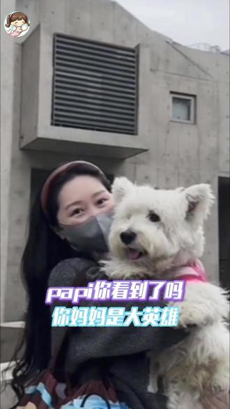 papi你看到了吗 你妈妈是大英雄 hxt.#维权#小狗 #养宠人 #感动 #西高地