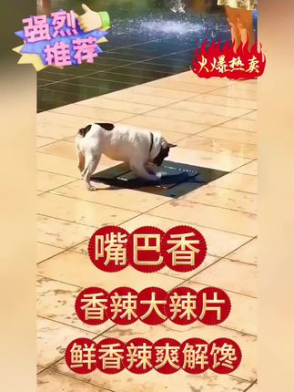 #上热门话题 #美味零食 #打开美好生活 #走过路过不要错过 #快来一起尝个鲜 @二牛优选