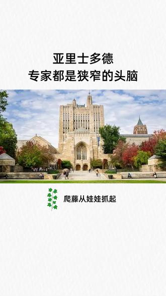 亚里士多德:专家都是狭窄的头脑#博雅教育 #亚里士多德 #常春藤 #古希腊 #专家