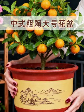 这款红陶花盆太适合养花啦~ 它主体是暖棕色,中间有圈浅黄色区域,绘着简洁的山水图,雅致又有韵味。红陶材质透气透水,能让花草根系畅快呼吸,不管是种娇艳的月季,还是清新的多肉,都很合适。把它往阳台或庭院一摆,自然田园感直接拉满,为你的小天地增添生机与美感~#爱生活爱养花 #园艺 #绿植盆栽 #陶瓷花盆 #花盆推荐