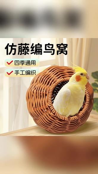 仿藤编鸟窝鹦鹉窝四季通用耐咬宠物鸟巢 #宠物鸟窝 #鹦鹉用品 #仿藤鸟巢 #耐咬鸟窝 #四季通用鸟窝