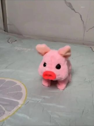 小猪我自己养了我跟你这种人没有以后#萌宠#小香猪#玩具