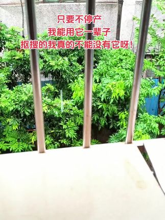 啊啊啊!!9.9到手这么一大袋 活力28洗衣液!#洗衣液 #污渍轻松去除#好物推荐🔥 #超便宜超划算 #好物安利
