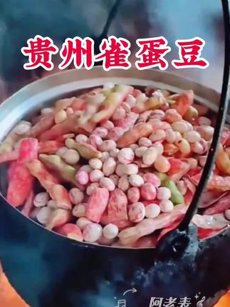 贵州特产雀蛋豆,又粉又面,不管是拿来烩豆米、炒菜、炖猪脚、煮火锅都很好吃,太安逸了,喜欢的老乡整点回去尝尝!#雀蛋豆 #农村美食#贵州特产 #家乡的味道 #戒不掉的贵州味道