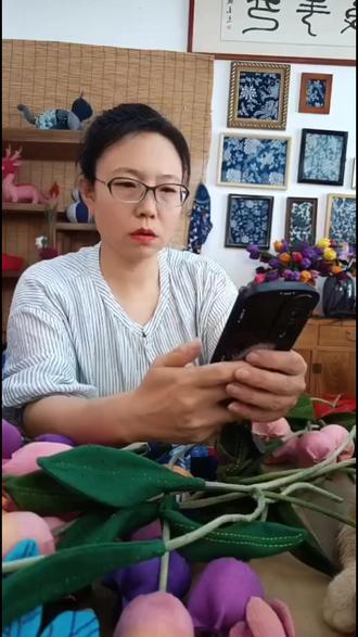 家有蚊蝇烦恼?试试这个布艺挂件!