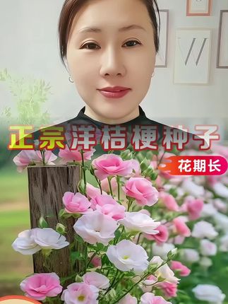洋桔梗又叫无刺玫瑰,开花艳丽,而且花期长,家里阳台小院都可以种植#洋桔梗种子
