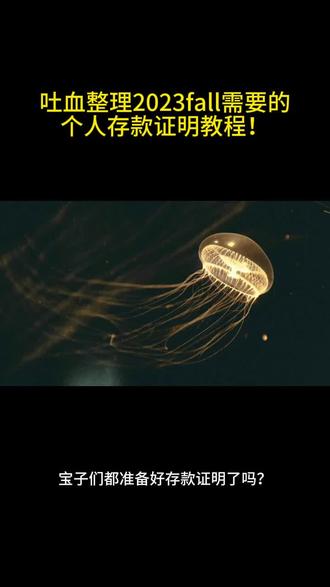 吐血整理2023fall需要的个人存款证明教程! #存款证明 #存款证明推荐 #存款证明在线咨询