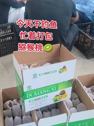 猕猴桃🥝走你#国庆送礼佳品#土特产