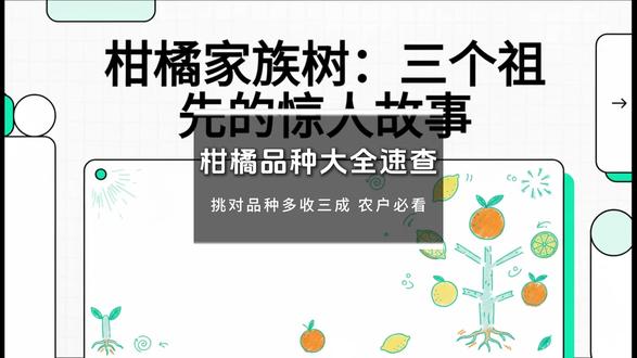 柑橘品种大全速查,挑对品种多收三成 农户必看 #识农AI