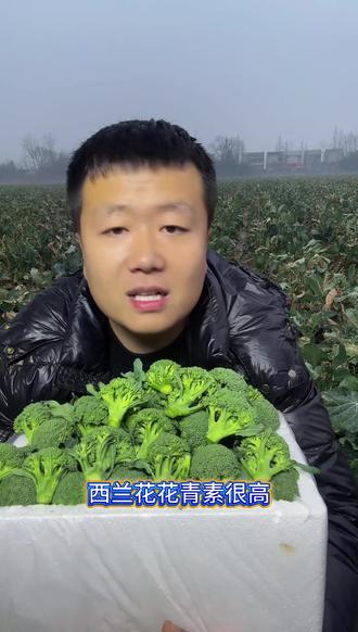 绿色食品【顺丰包邮】湖北新鲜小西兰花青花菜小花朵花椰菜时令蔬 #西兰花 #蔬菜 #新鲜 #炒菜 #好物推荐 新鲜小西兰花