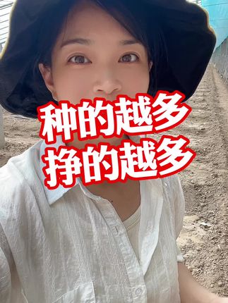 #西红柿价格#大棚西红柿#西红柿种植#记录我的种植生活 #番茄种植 点个关注吧 @抖音小助手