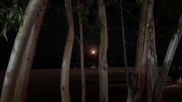 手机端快速转换视频格式 轻松转为标准 MP4