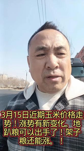 3月15日近期玉米价格走势!涨势有新变化。地趴粮可以出手了!架子粮还能涨。!