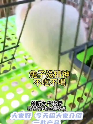 兔益宝500ml兔用液态益生菌兔兔畜牧涨肚兔子养殖场饲料添加剂