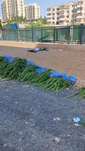 西康各庄回迁房倒计时