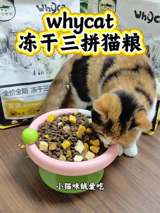 一定不要错过whycat三拼冻干猫粮的大羊毛! #猫粮 #养猫新手 #猫咪喂养 #whycat猫粮 #吃货猫